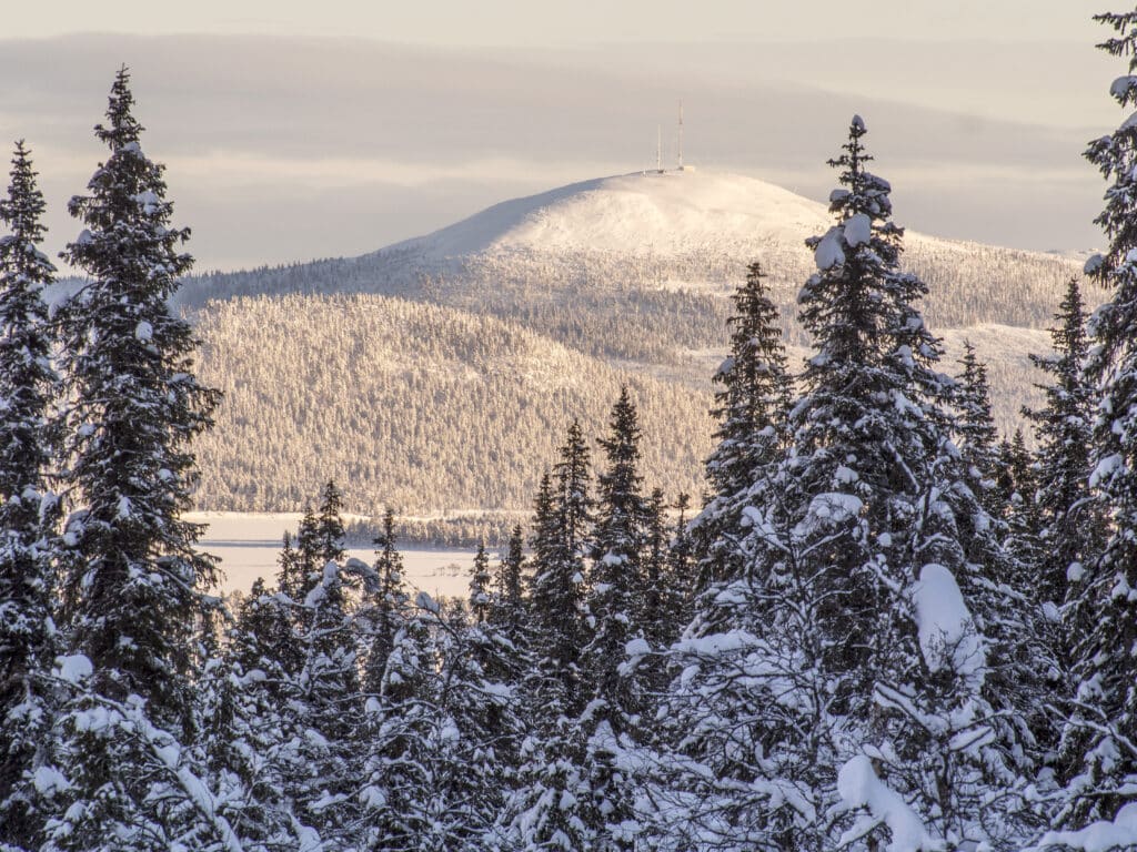 Arjeplog Galtis289 1024x768