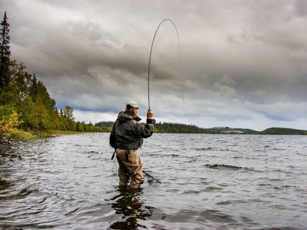 Asele Fiskebild Lars Norberg 1024x768