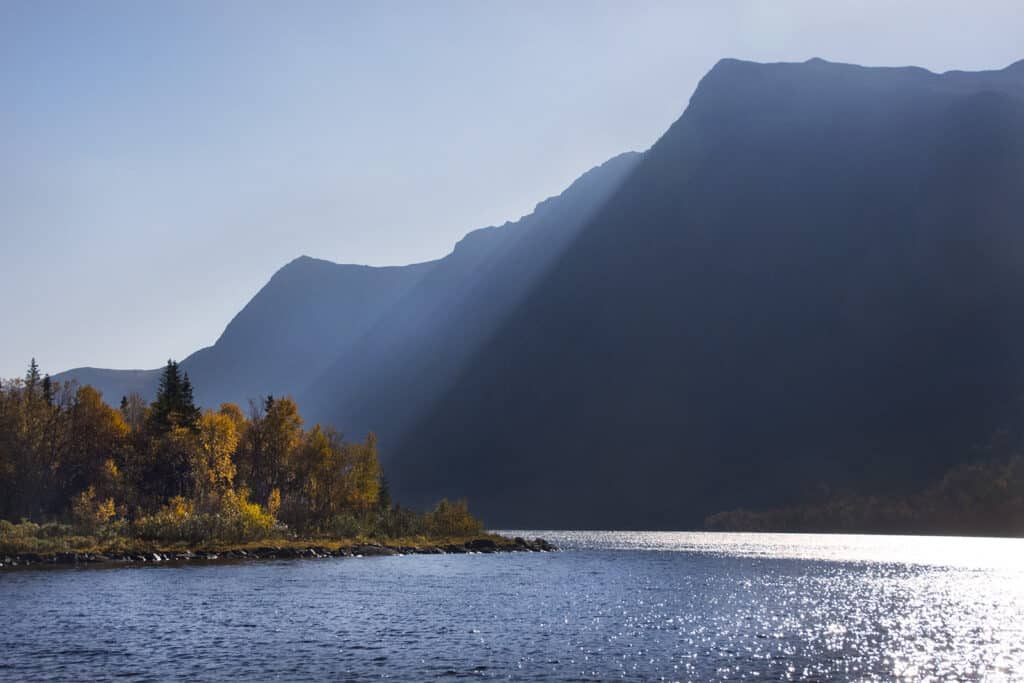 Vilhelmina Borkasjon 1024x683