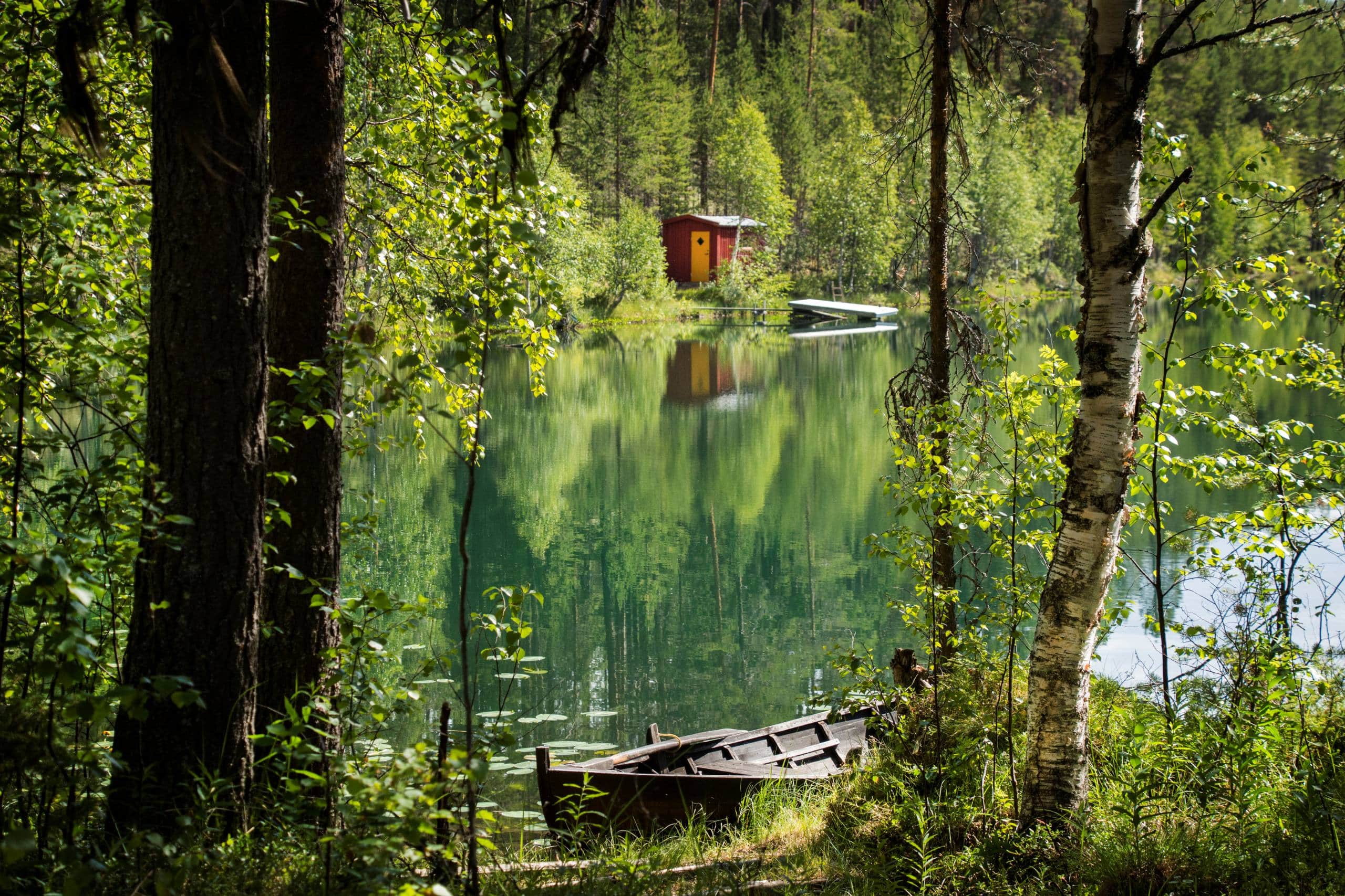 Vilhelmina Grontjarn1