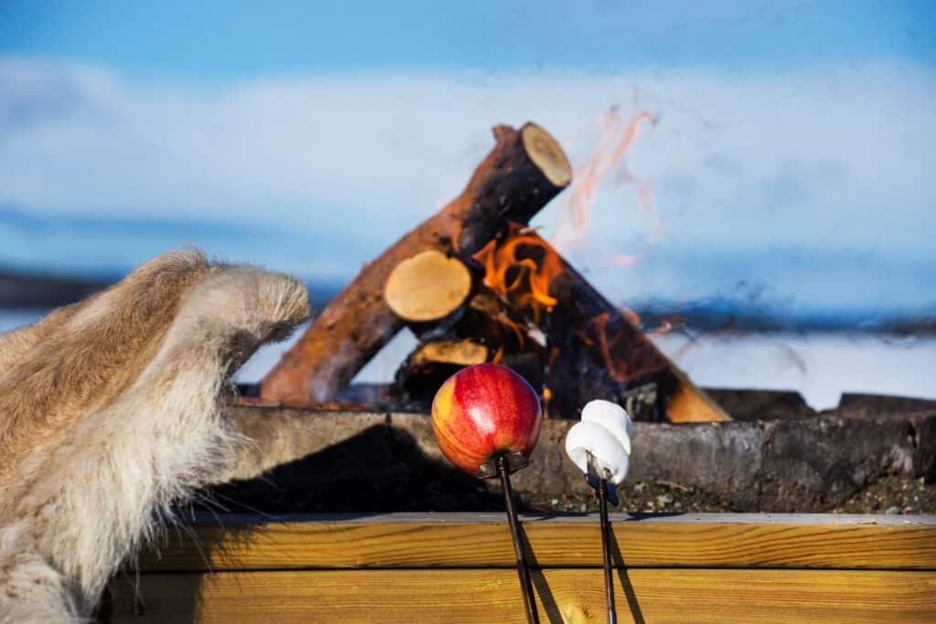 Vilhelmina Sagostund 1024x683