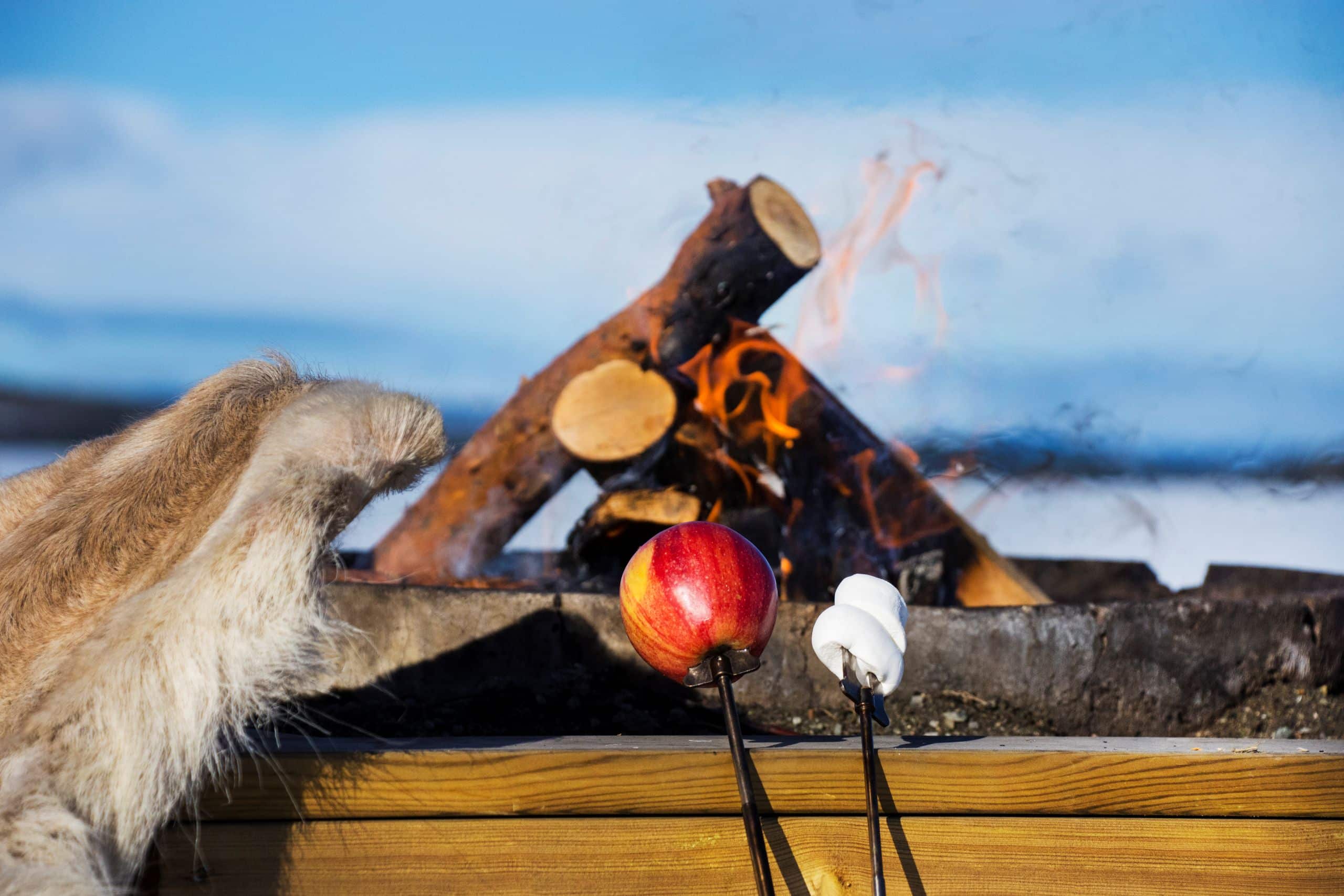 Vilhelmina_Sagostund