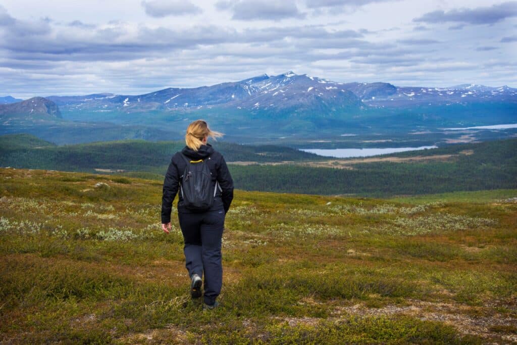 Vilhelmina Saxnas2 1024x683