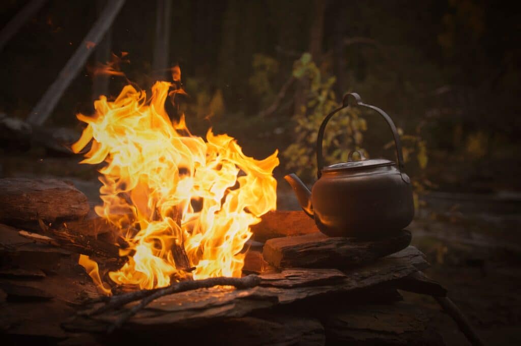 Vilhelmina Kaffeeld 1024x680